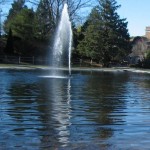 WilcoxParkPond_web