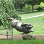 WilcoxParkRabbit_web