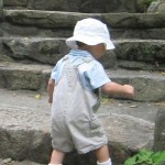 WilcoxParkStairs_web