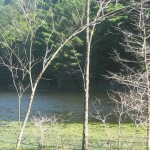 FortRefuge_web
