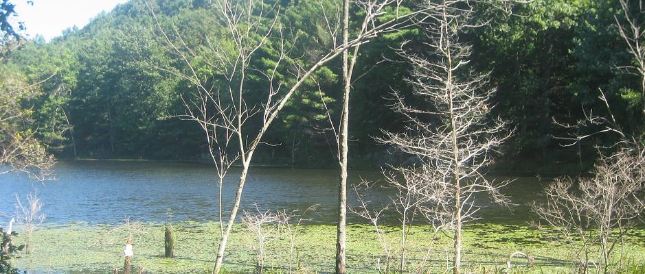 FortRefuge_web
