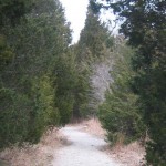 CedarPath_web