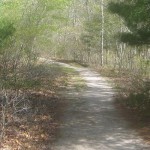 PathAtKettlePond_web