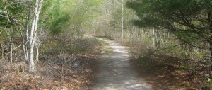 PathAtKettlePond_web