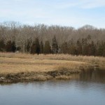 TouissetMarsh1_web