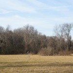 TouissetMarsh5_web