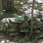Cairns2_web