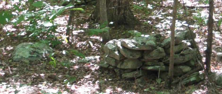 Cairns2_web