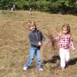 Meadow_web